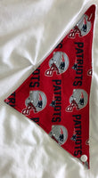 Football Fan Baby Gift Set