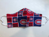 Hockey Fan Adult & Youth Face Mask